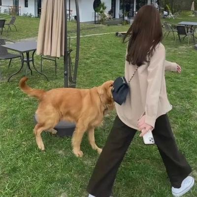 铁甲小宝